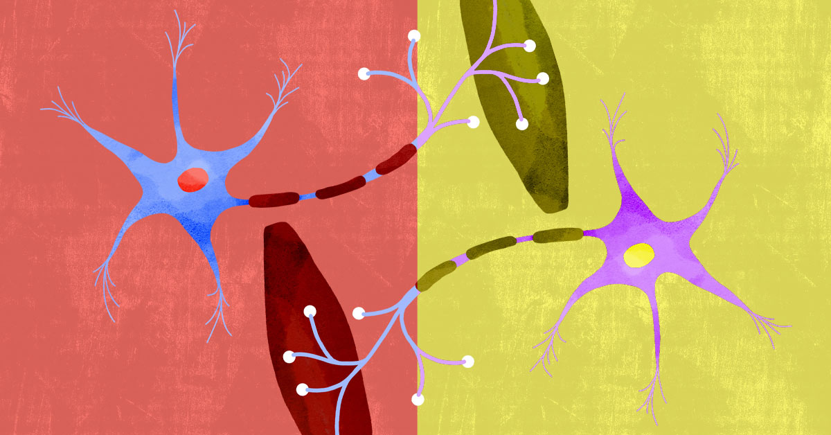 Lambert-Eaton Myasthenic Syndrome Versus Myasthenia Gravis